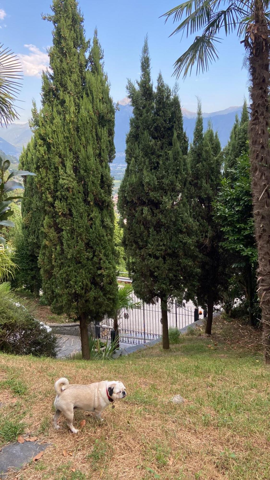 Appartement Sete Fontes - Nest